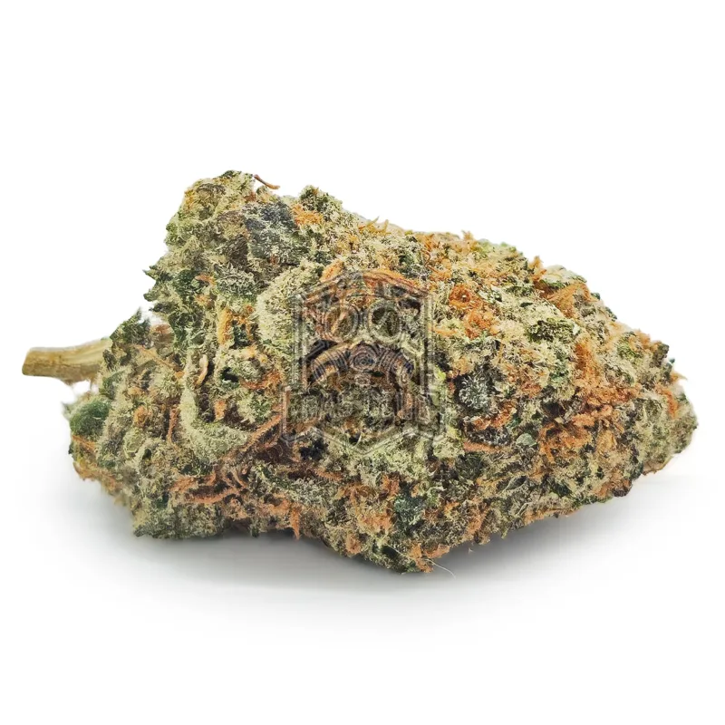 Apple Fritter