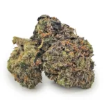 Blue Guava Runtz
