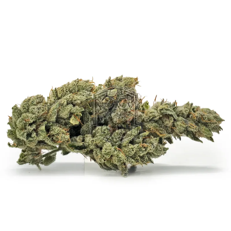 GG4