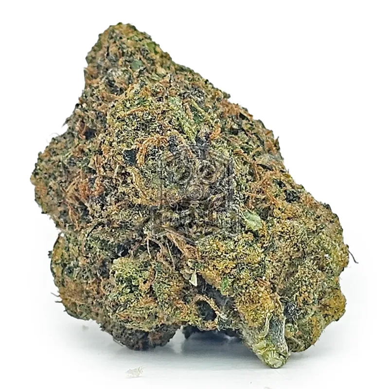 Hash Burger