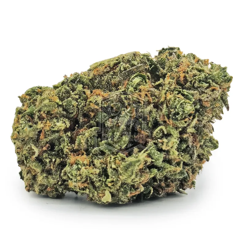 Northern Lights