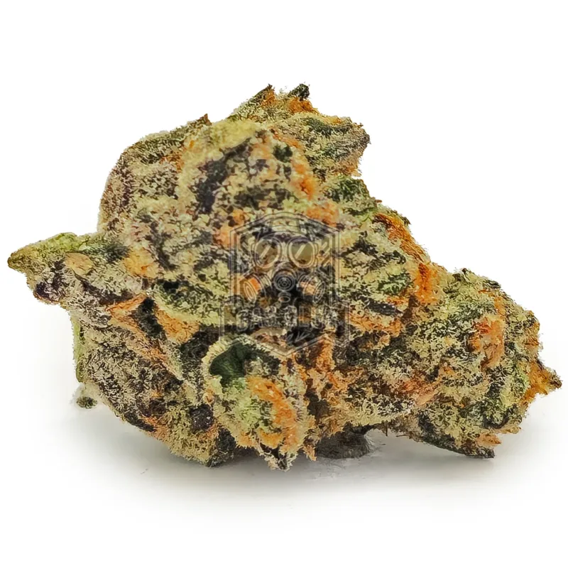 Forbidden Fruit