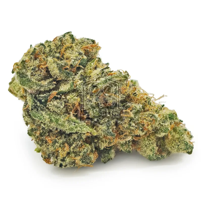 Fruit Punch
