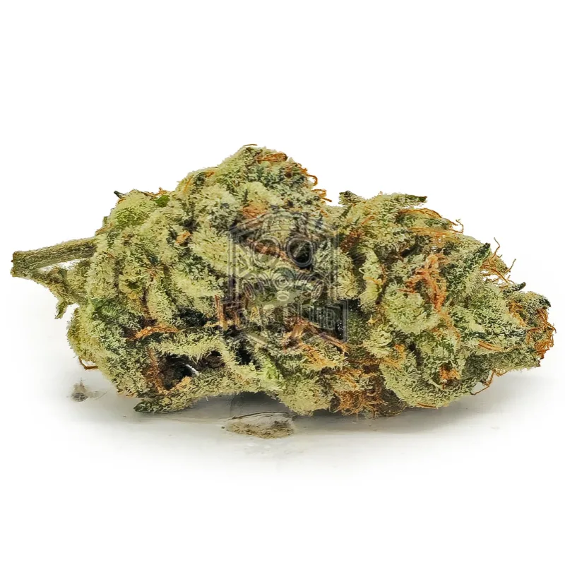 Orange Skunk