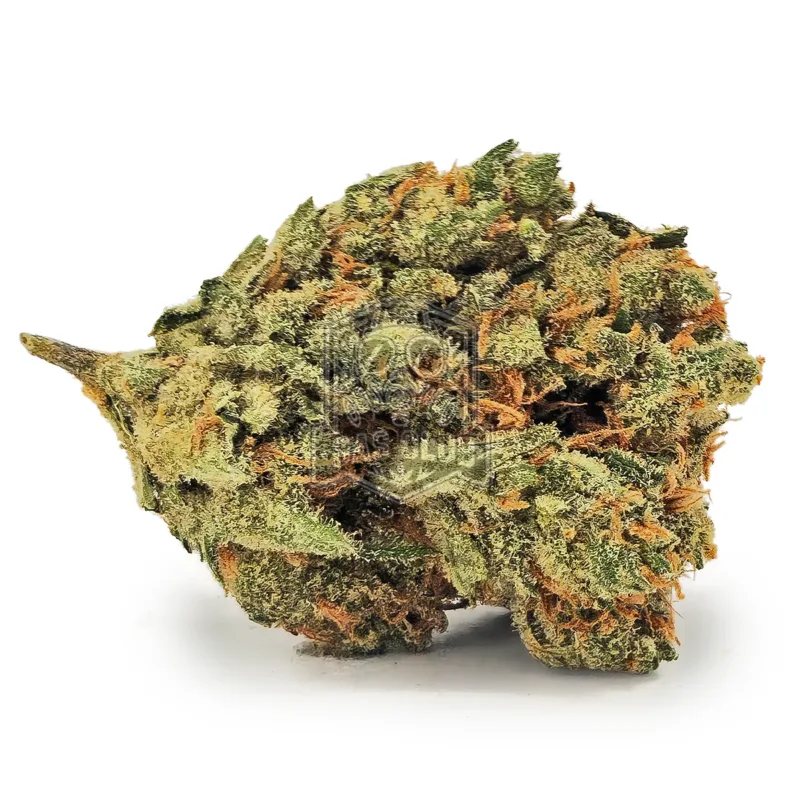 Hawaiian Sativa