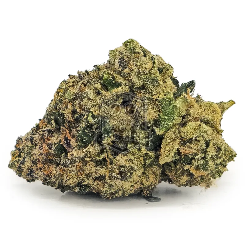 Slurricane