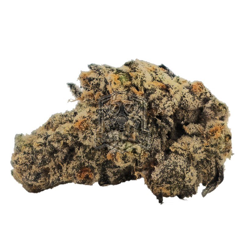 Alcatraz OG