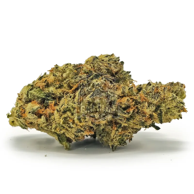 Haley's Haze
