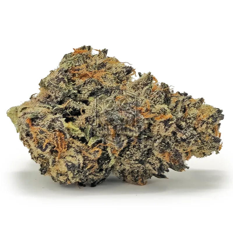 Kobain Kush
