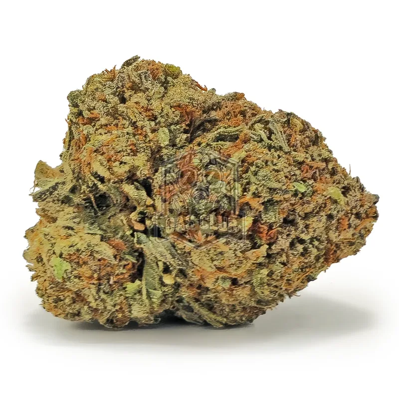 Neptune Kush