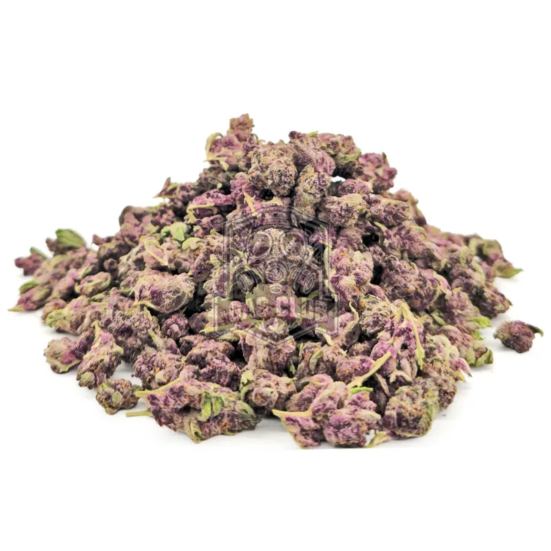 Purple Linda 'smalls'