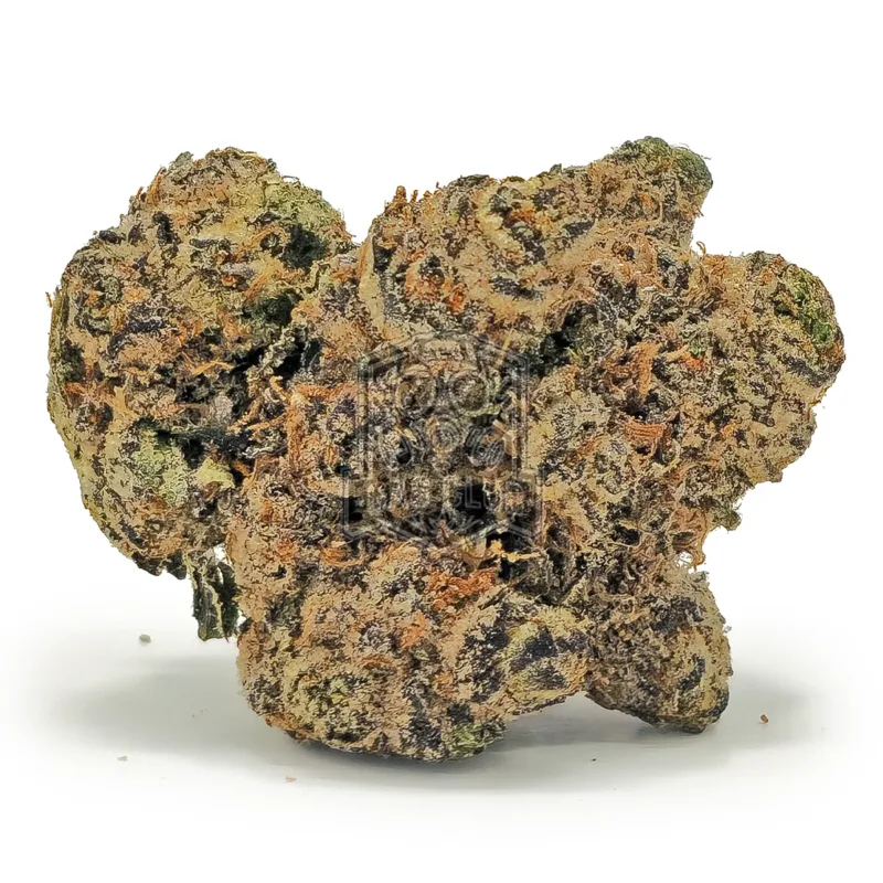 Stink Bomb