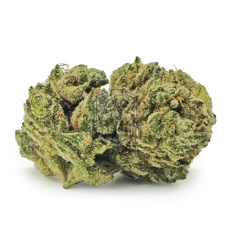 White Glue